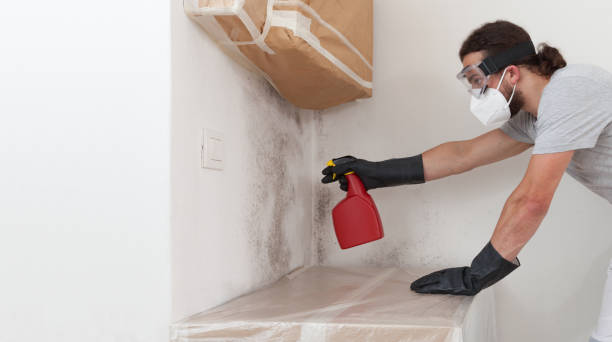 Professional Crawl Space Mold Remediation technician working in Bedford, MA