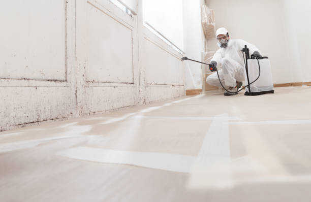 24/7 Emergency Crawl Space Mold Remediation experts in Bedford, MA