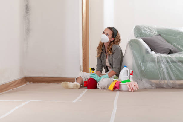 Reliable Crawl Space Mold Remediation contractor in Bedford, MA by Mold Remediation HQ