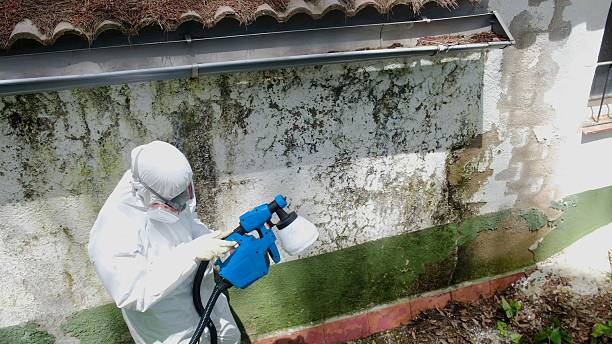 Top rated local Crawl Space Mold Remediation specialists in Bedford, MA